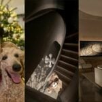 Popular food blogger&#8217;s 11 million baht Ho Chi Minh penthouse plagued with water leaks and cracks | Thaiger