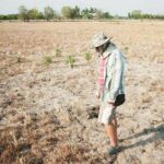 Impending drought poses significant threat to Thai export sector | Thaiger