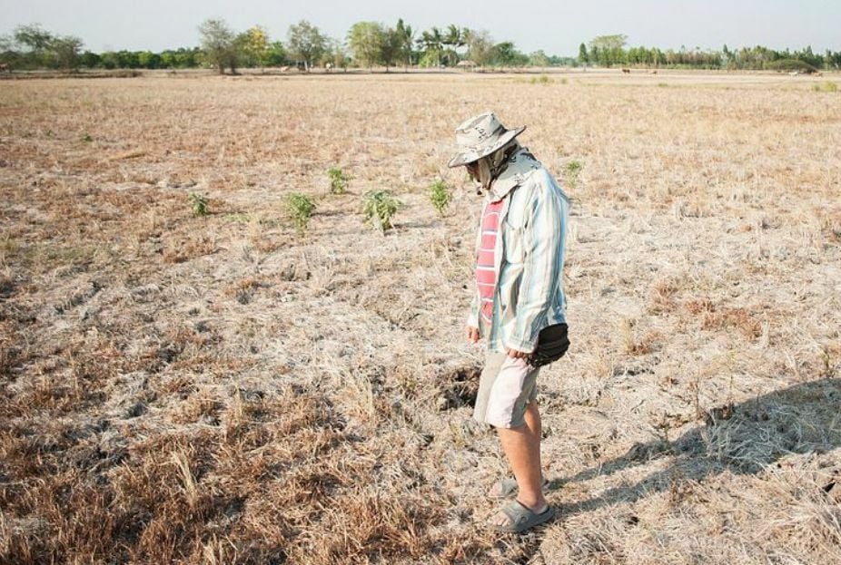 Impending drought poses significant threat to Thai export sector