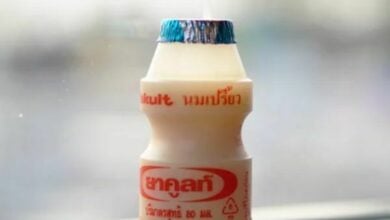 TikTok sensation wins hearts selling sour milk in Lopburi (video)