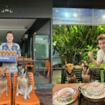 Unexpected labour at Thai restaurant results in nine months of free meals for pregnant woman | Thaiger