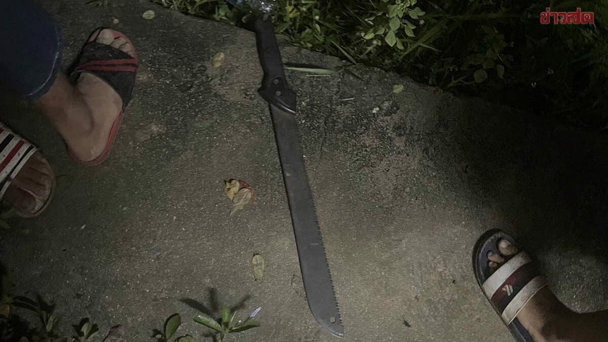 Teenagers posing as junior police threaten resident with knives and a bomb