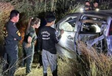 Another "monkey war" in Lop Buri, hundreds fight in the street- VIDEO | News by Thaiger