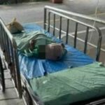 3 month old baby bitten by monkeys on Phang Nga island, left in a coma | Thaiger