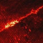 Urgent efforts underway to return elephant herd causing havoc in central Thailand | Thaiger