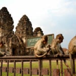 Exploring the ancient city of Lop Buri in a day | Thaiger