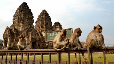 Exploring the ancient city of Lop Buri in a day