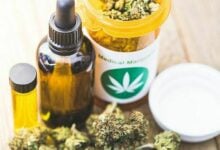 Medical cannabis: CISW’s events for business and awareness | Thaiger