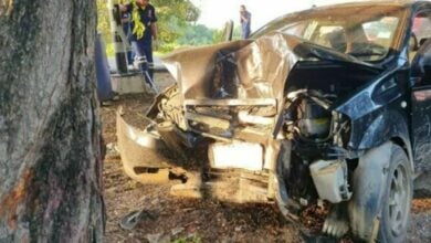 Lopburi tree collision: Tragic end for grandad after falling asleep at wheel