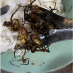 TikTok user introduces followers to Thai dish of golden orb spider (video) | Thaiger