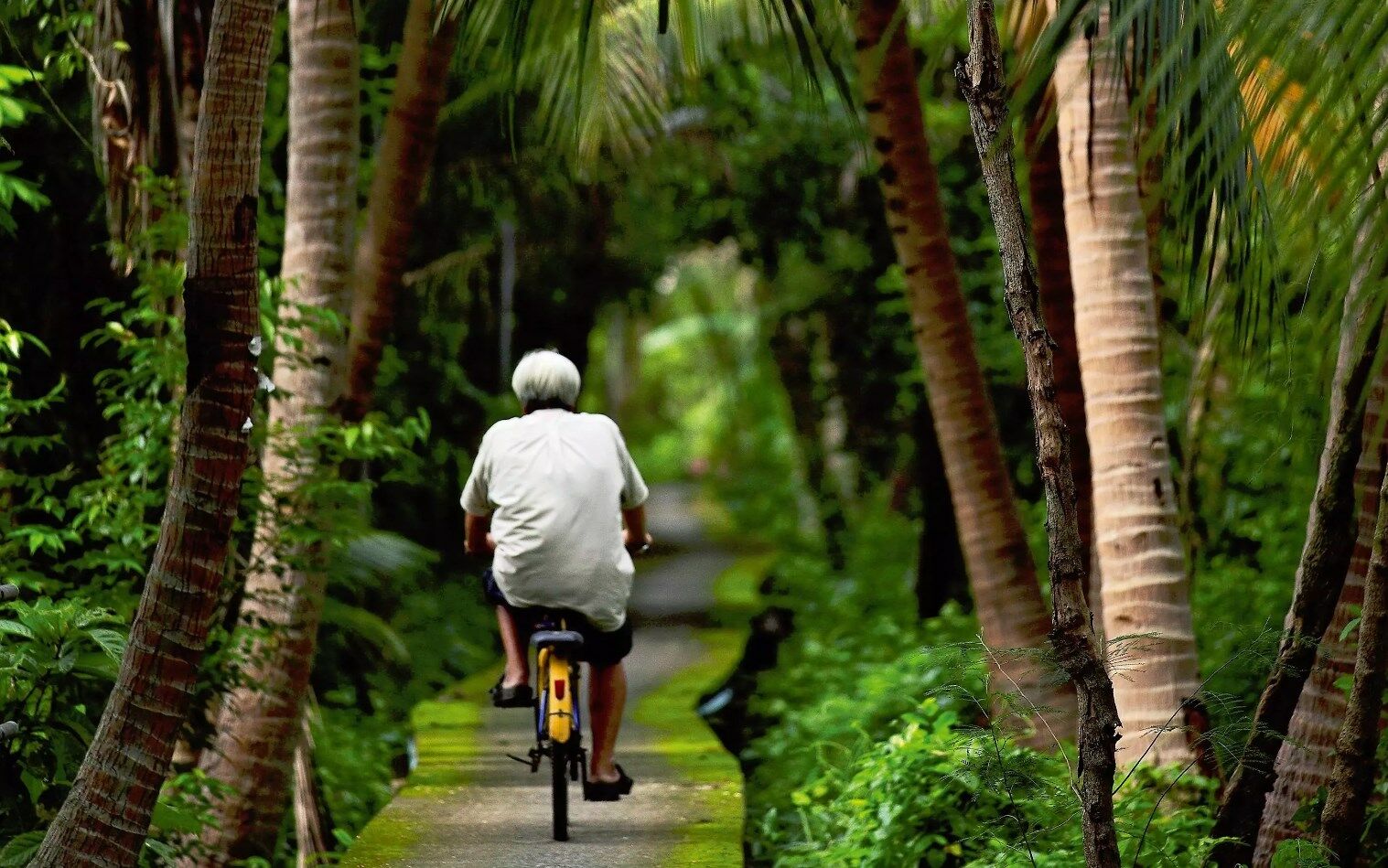 5 great routes for cycling in Thailand | News by Thaiger