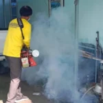 Rising Zika virus cases alarm health officials in Phuket | Thaiger