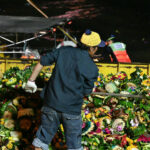 Floats farewell: Bangkok&#8217;s Loy Krathong cleanup sees 640,000 eco-friendly wonders whisked away | Thaiger