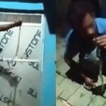Indian man dies filming snake challenge | Thaiger