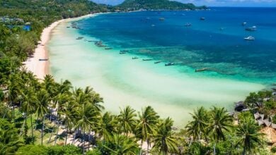 French man released without charge after rape allegations from UK teen | Thaiger