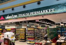 Another "monkey war" in Lop Buri, hundreds fight in the street- VIDEO | News by Thaiger