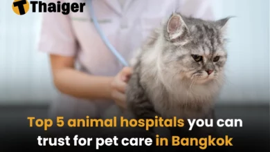 Top 5 animal hospitals you can trust for pet care in Bangkok | Thaiger