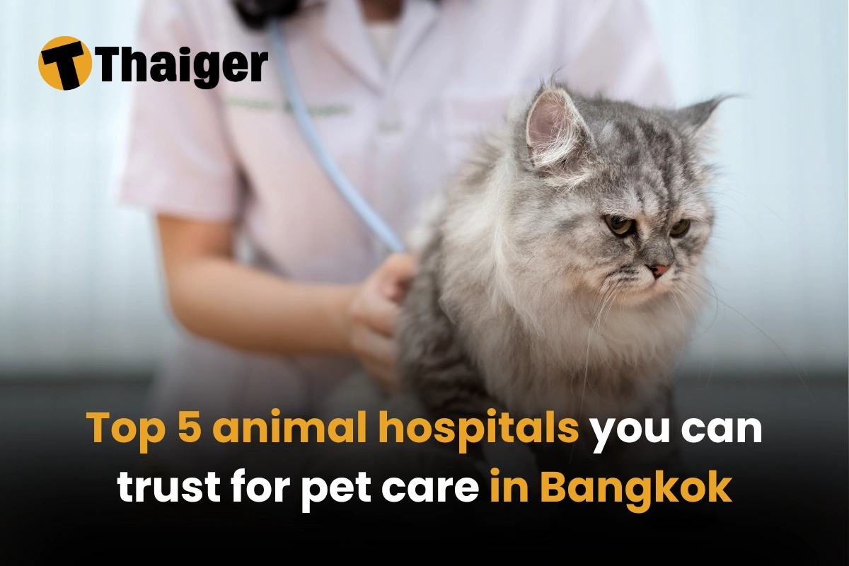 Top 5 animal hospitals you can trust for pet care in Bangkok