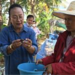 Thai farmer turns backyard into mussel farm, earning 400 baht daily | Thaiger