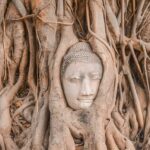Eco-tourism in Thailand: A guide to sustainable travel hotspots | Thaiger