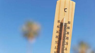 Rise in temperature forecasted for Thailand’s northern regions | Thaiger