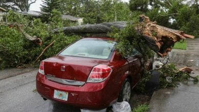Road safety appeal amid surge of New Year holidaymakers in Thailand | Thaiger