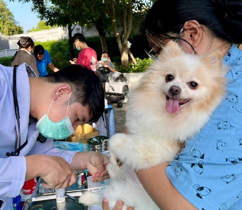 Top 5 animal hospitals you can trust for pet care in Bangkok | News by Thaiger