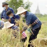 The hidden struggle of Thailand&#8217;s overlooked workforce | Thaiger