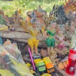 Thai fruit seller reports mystical events around ancient tree in Rayong | Thaiger