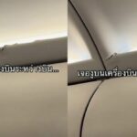 &#8216;Snakes on a Plane&#8217; moment on a Bangkok to Phuket flight sparks online frenzy (video) | Thaiger