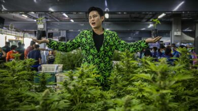 Cannabis and its influence on fashion in Thailand | Thaiger