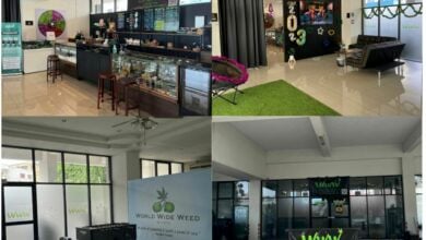 Thailand’s Cannabis empire worth an estimated 2 billion baht