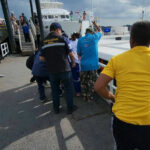 French tourist drowns on Similan Islands in snorkelling accident | Thaiger