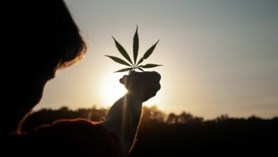 Exploring Thai spirituality and cannabis connection | Thaiger