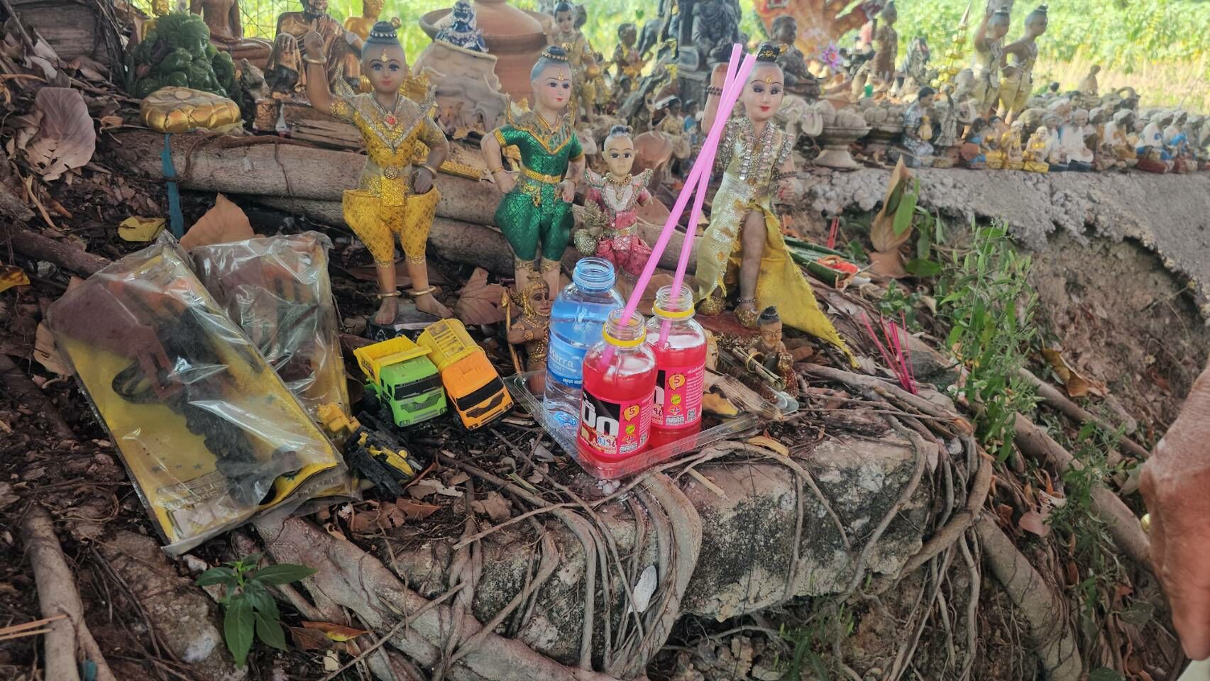 Rubber trees in Rayong bestow lottery luck according to local Thai folklore