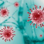 Bangkok braces for severe outbreak of three diseases | Thaiger