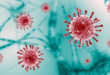 Bangkok braces for severe outbreak of three diseases | Thaiger