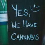 Is cannabis legal for foreigners in Thailand? Know the rules | Thaiger