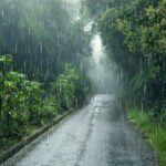 Northeast monsoon brings storms and high waves to southern Thailand | Thaiger