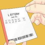 Rare event in northern Thailand sparks lottery number hunt | Thaiger
