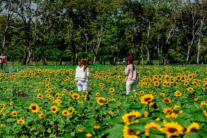 What to do in Bangkok this weekend (January 5 – 7) | News by Thaiger