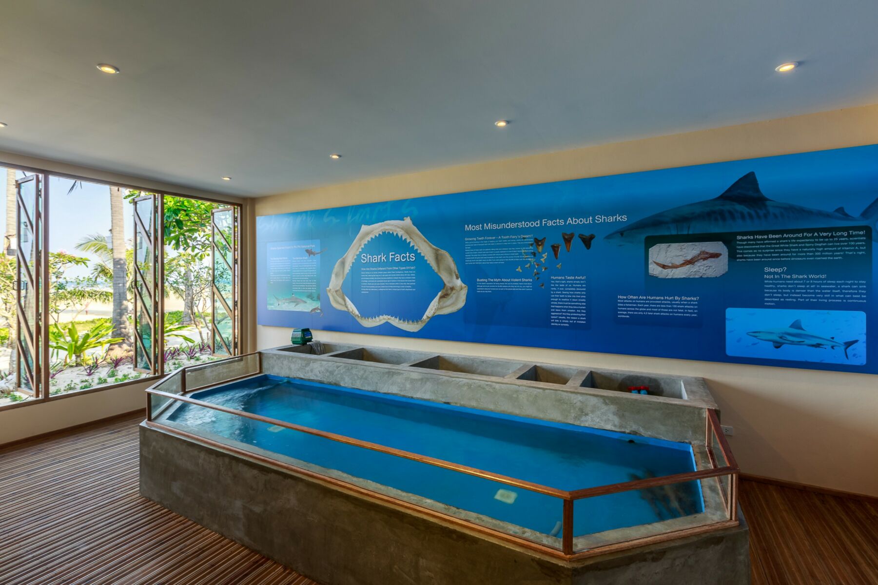 The shark centre at the SAii Phi Phi Island’s Marine Discovery Centre