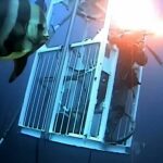 Buddha sculpture found in Thai-US navy salvage operation of sunken HTMS Sukhothai | Thaiger