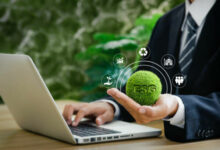 Thailand’s green utility tariff implementation faces SME hurdles