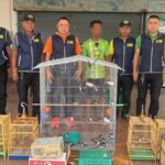 Man arrested in Songkhla for illegal online sale of protected birds | Thaiger