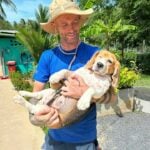 Paws unite: Happy Doggo & Soi Dog tackle Asia’s strays