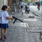 Water pistol standoff and UFO jellyfish take top honours in wildlife photo competition | Thaiger