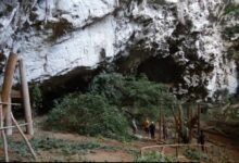 The secrets of ancient Thai log coffins in northwestern Thailand | Thaiger