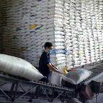 Vietnam&#8217;s rice exports soar towards 178 billion baht milestone | Thaiger