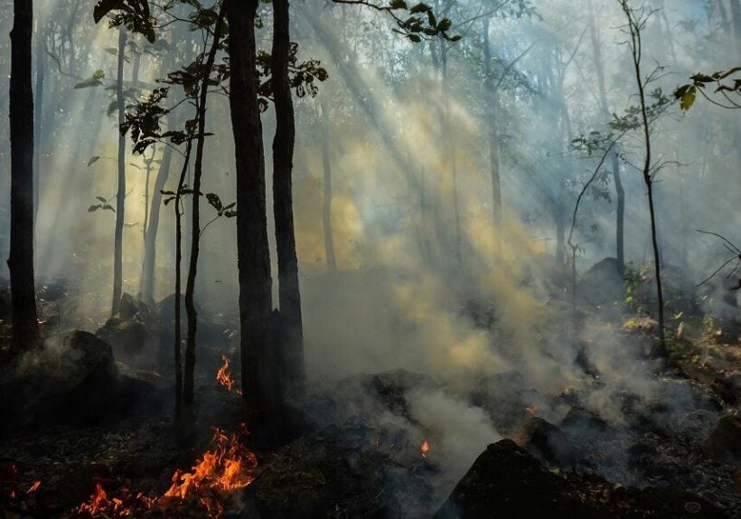 Things you need to know about Chiang Mai's burning season | News by Thaiger